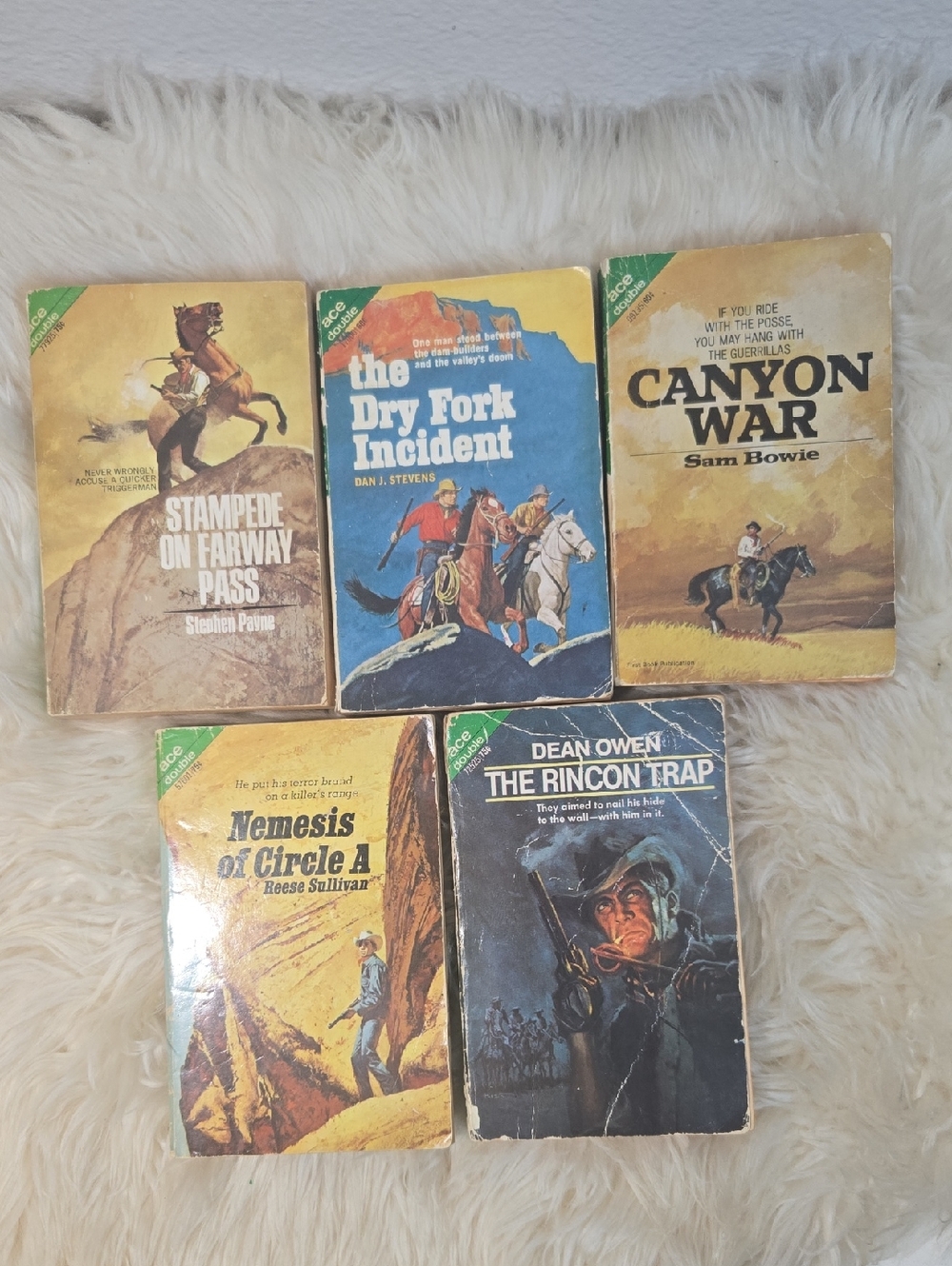 Vintage Ace Double Western 1960s Pulp Paperbacks Cowboy Novels Retro Collection